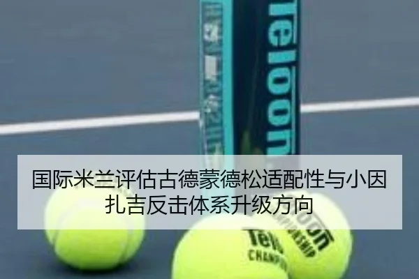 国际米兰评估古德蒙德松适配性与小因扎吉反击体系升级方向